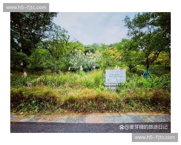 繁花落尽见真章：在上海的精致与浙江的野性间，谁才是灵魂的终极归宿？